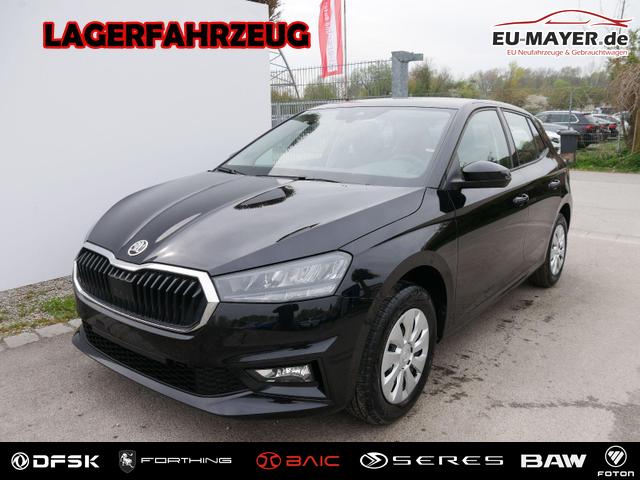 Skoda Fabia - Selection 1.0 TSI DSG*NAVI-&Uuml;BER-SMARTLINK*LED*PDC-HI*SHZ*DAB*KLIMA