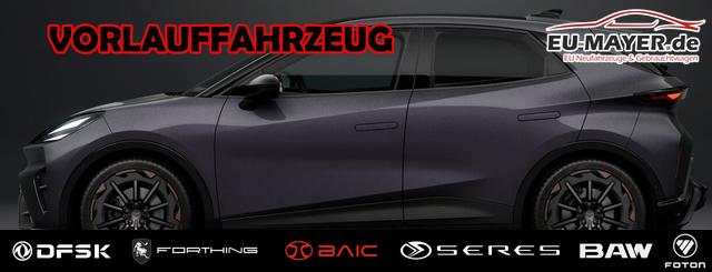 Cupra Raval - VZ VORLAUF* 172,-&euro; monatlich* 48 Monate* Ohne Kilometerbegrenzung*