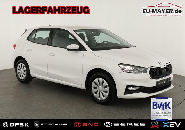 Lagerfahrzeug Skoda Fabia - Selection 1.0 TSI Selection, Park, Winterpaket, SmartLink, 4-J Garantie