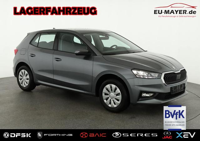 Lagerfahrzeug Skoda Fabia - Selection 1.0 TSI Selection, Park, Winterpaket, SmartLink, 4-J Garantie