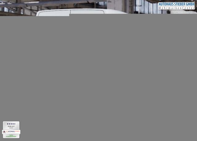 MAN TGE 2.0 TDI 177 L3H3 Kam PDC Temp 3S SmLi HFT 