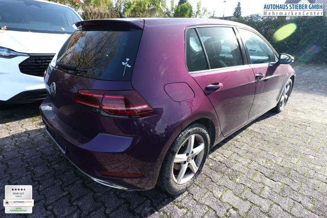Volkswagen Golf Highline VII 1.5 TSI 150 Pano AHK ACC Nav 