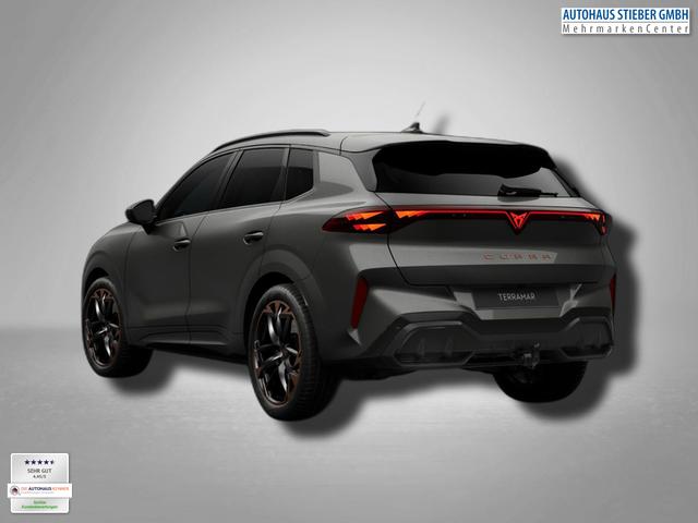 Cupra Terramar VZ 2.0 TSI 7-Gang-DSG 4Drive 