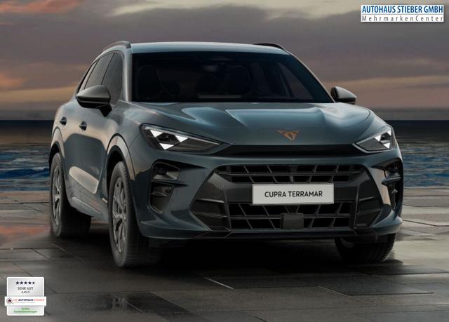 Cupra Terramar DSG IntelliD Dinamica Edge 360&deg; eHk ACC 
