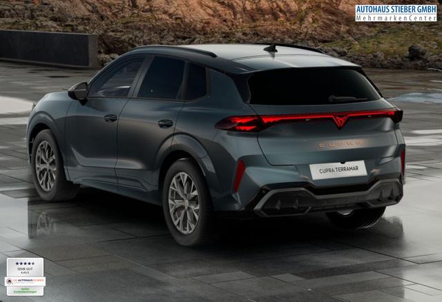 Cupra Terramar DSG IntelliD Dinamica Edge 360&deg; eHk ACC 