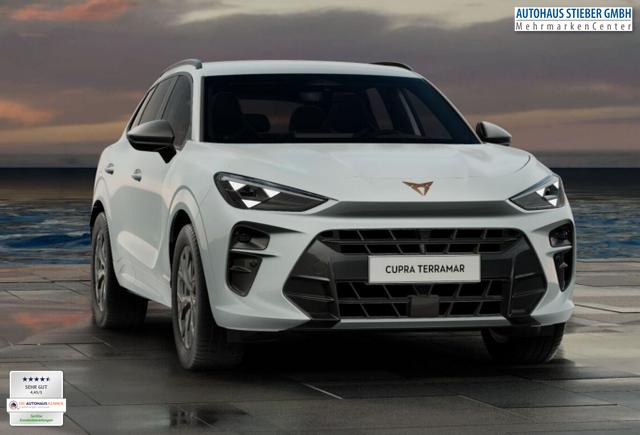 Cupra Terramar DSG IntelliD Dinamica Edge 360&deg; eHk ACC 