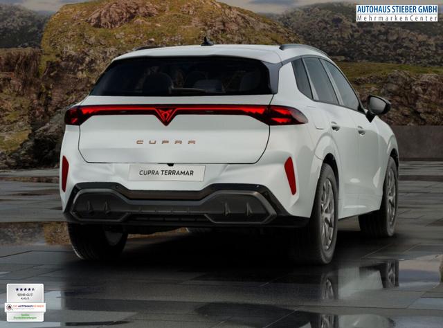 Cupra Terramar DSG IntelliD Dinamica Edge 360&deg; eHk ACC 