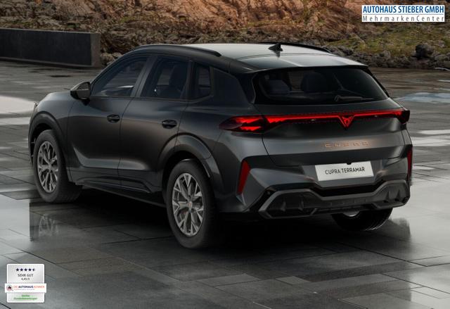 Cupra Terramar DSG IntelliD Dinamica Edge 360&deg; eHk ACC 