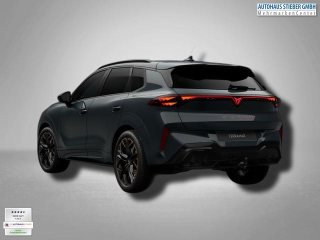 Cupra Terramar VZ 2.0 TSI 7-Gang-DSG 4Drive 