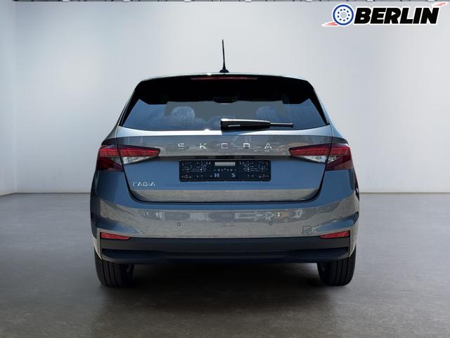 Skoda Fabia Selection 1.0 TSI 116 DSG Klima NSW PDC LED DAB Temp SmartLink Chrom 