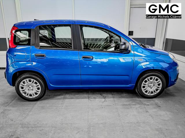 Fiat Panda Pandina KLIMA PDC EL.PAKET 5 Kopfst&uuml;tzen 