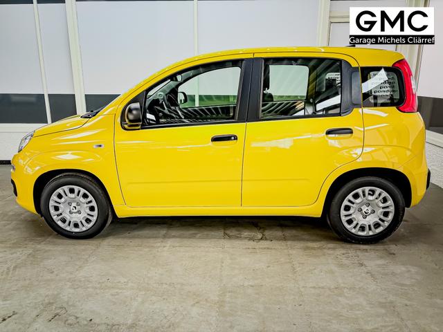 Fiat Panda Pandina KLIMA PDC EL.PAKET 5 Kopfst&uuml;tzen 