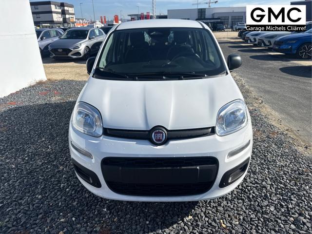 Fiat / Panda / Grau / / / 
