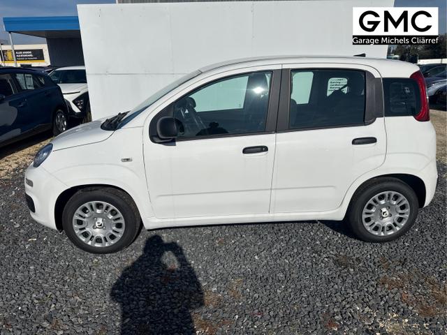 Fiat / Panda / Grau / / / 