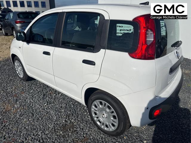 Fiat / Panda / Grau / / / 