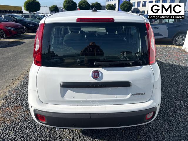 Fiat / Panda / Grau / / / 
