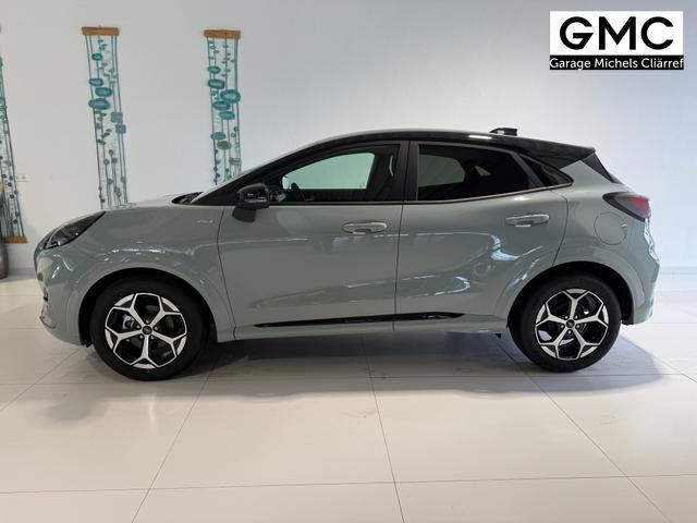 Ford Puma ST-Line Cactus Grau Dach Schwarz