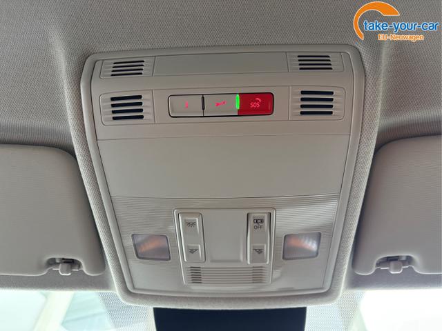 Seat - Ibiza - EU-Neuwagen - Reimport