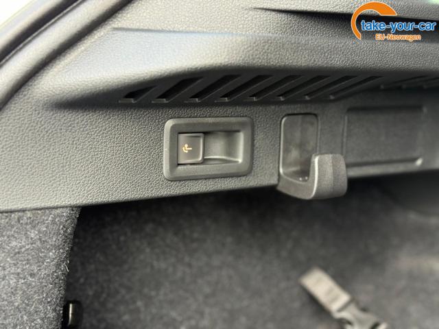 Skoda - Kamiq - EU-Neuwagen - Reimport