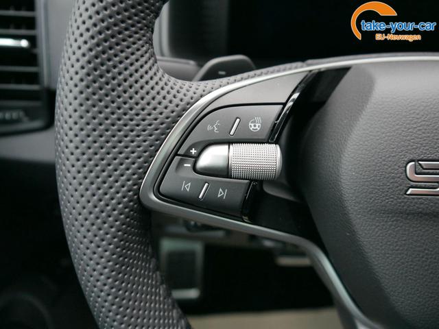 Skoda - Karoq - EU-Neuwagen - Reimport