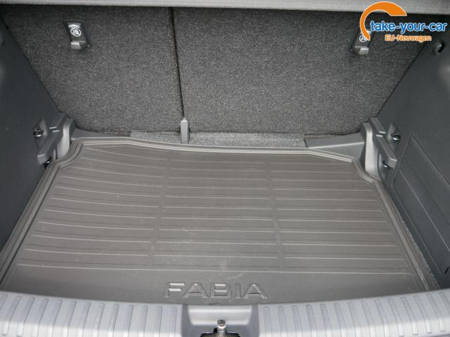 Skoda - Fabia - EU-Neuwagen - Reimport