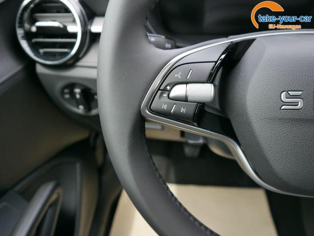 Skoda - Fabia - EU-Neuwagen - Reimport