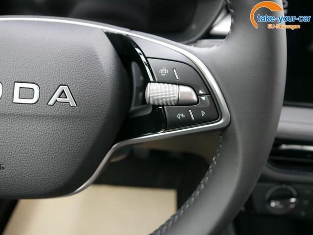 Skoda - Fabia - EU-Neuwagen - Reimport