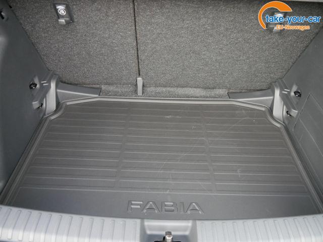 Skoda - Fabia - EU-Neuwagen - Reimport