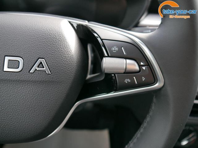 Skoda - Fabia - EU-Neuwagen - Reimport
