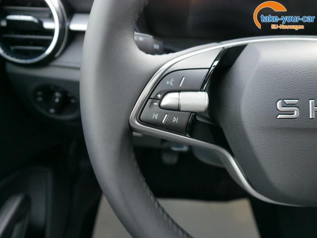 Skoda - Fabia - EU-Neuwagen - Reimport