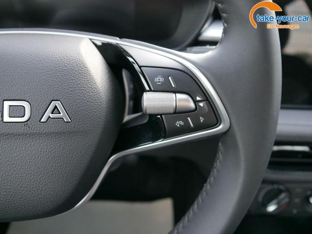Skoda - Fabia - EU-Neuwagen - Reimport