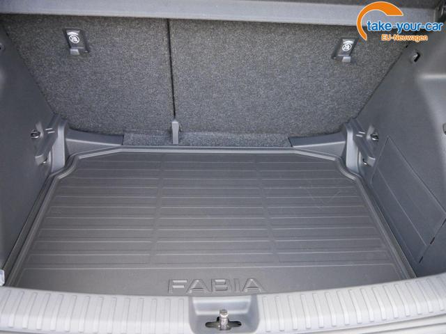 Skoda - Fabia - EU-Neuwagen - Reimport