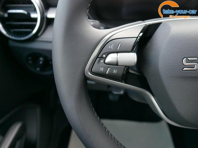 Skoda - Fabia - EU-Neuwagen - Reimport