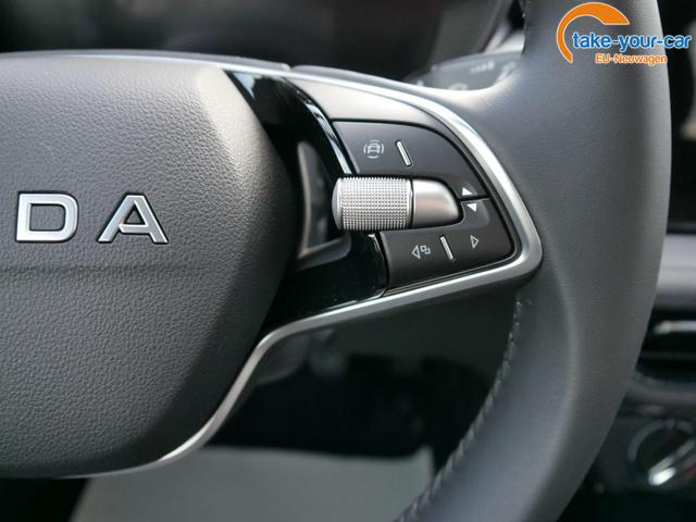 Skoda - Fabia - EU-Neuwagen - Reimport