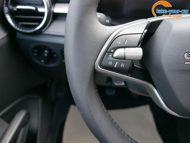 Skoda - Fabia - EU-Neuwagen - Reimport