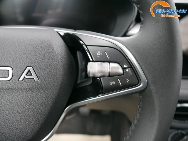Skoda - Fabia - EU-Neuwagen - Reimport