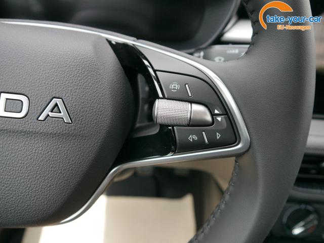 Skoda - Fabia - EU-Neuwagen - Reimport
