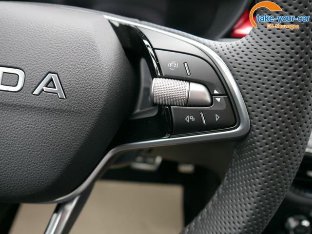 Skoda - Fabia - EU-Neuwagen - Reimport