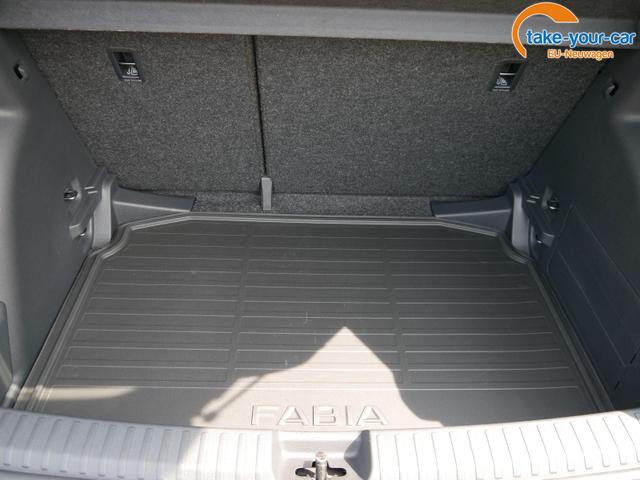 Skoda - Fabia - EU-Neuwagen - Reimport