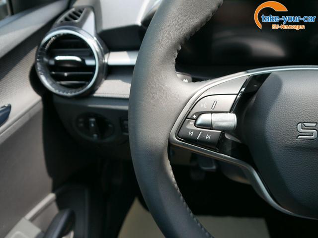 Skoda - Fabia - EU-Neuwagen - Reimport