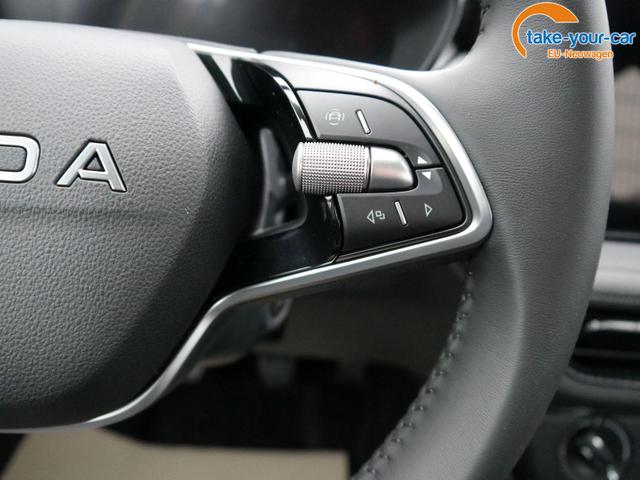 Skoda - Fabia - EU-Neuwagen - Reimport