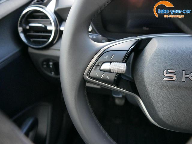 Skoda - Fabia - EU-Neuwagen - Reimport