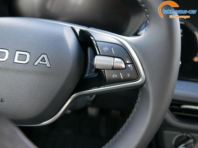 Skoda - Fabia - EU-Neuwagen - Reimport