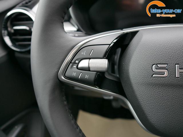 Skoda - Fabia - EU-Neuwagen - Reimport