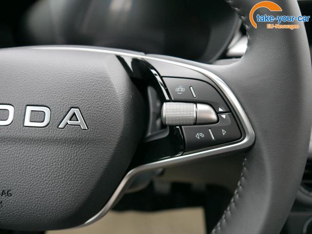 Skoda - Fabia - EU-Neuwagen - Reimport