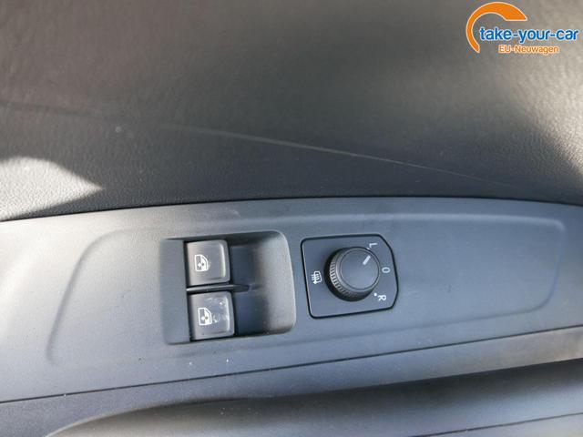 Skoda - Fabia - EU-Neuwagen - Reimport
