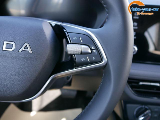 Skoda - Fabia - EU-Neuwagen - Reimport