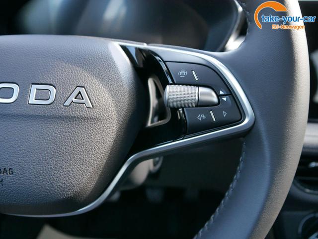 Skoda - Fabia - EU-Neuwagen - Reimport