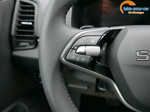 Skoda - Karoq - EU-Neuwagen - Reimport