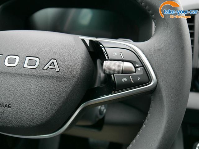 Skoda - Karoq - EU-Neuwagen - Reimport